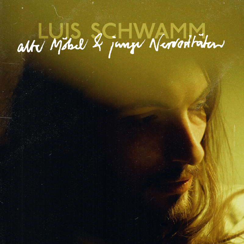 Luis Schwamm - alte möbel und junge nervositäten