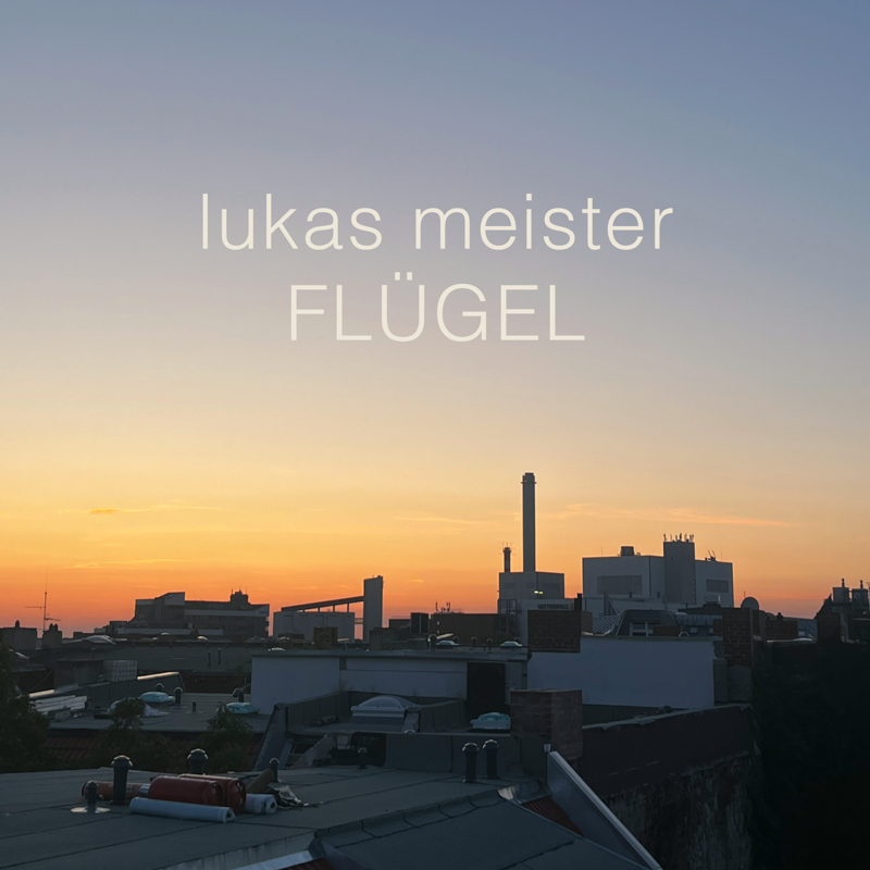 Lukas Meister - Flügel Cover